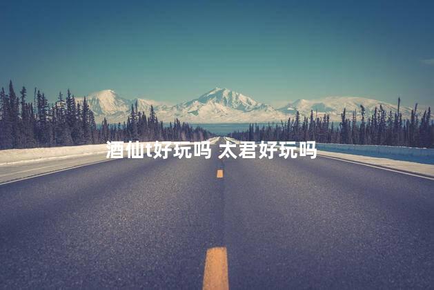 酒仙t好玩吗 太君好玩吗